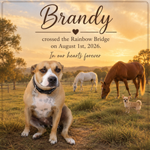 Load image into Gallery viewer, The Rainbow Bridge - A Candle for when a beloved Pet has passed.