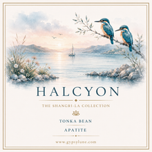 Load image into Gallery viewer, Halcyon Crystal Candle