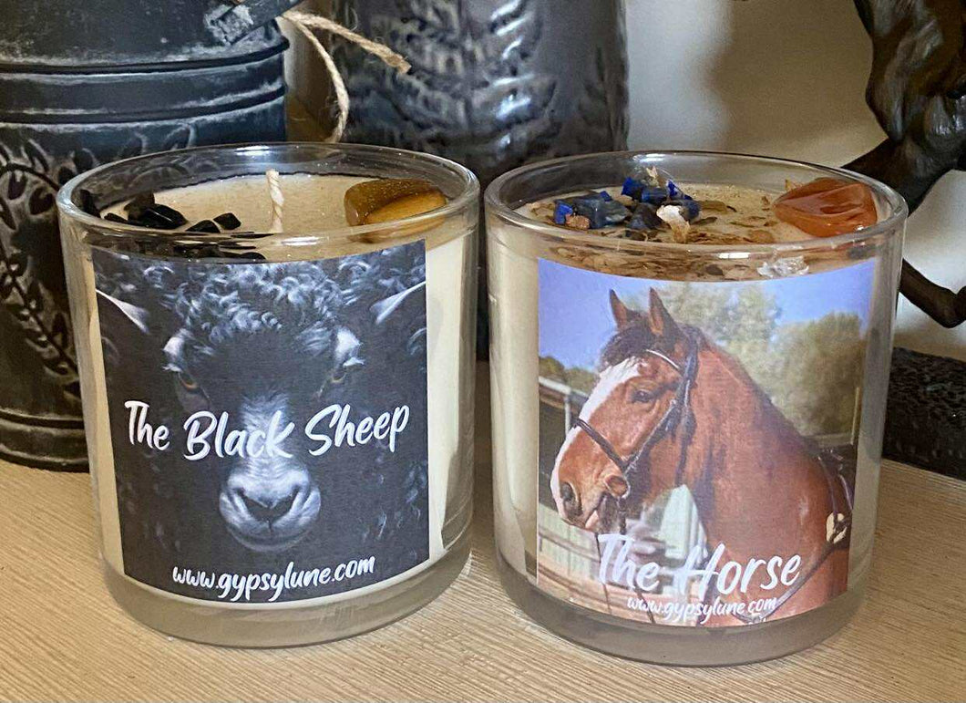 Horse and Sheep Animal Spirit Guide Candle Duo SAVE $$$