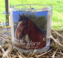 Load image into Gallery viewer, The Horse - Animal Spirit Guide