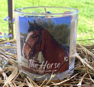 The Horse - Animal Spirit Guide