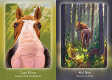 Load image into Gallery viewer, The Council of Horses Oracle - Sandra Wallin &amp; Kim McElroy