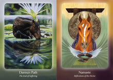 Load image into Gallery viewer, The Council of Horses Oracle - Sandra Wallin &amp; Kim McElroy