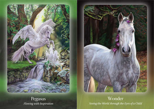 The Council of Horses Oracle - Sandra Wallin & Kim McElroy