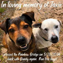 Load image into Gallery viewer, The Rainbow Bridge - A Candle for when a beloved Pet has passed.