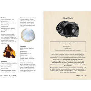 A Practical Guide to Magic in Nature - Jessica Lahoud