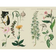 Load image into Gallery viewer, A Practical Guide to Magic in Nature - Jessica Lahoud