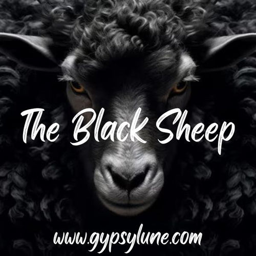 The Black Sheep Animal Spirit Guide