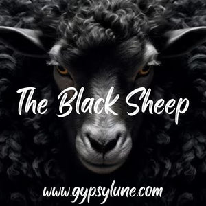 The Black Sheep Animal Spirit Guide
