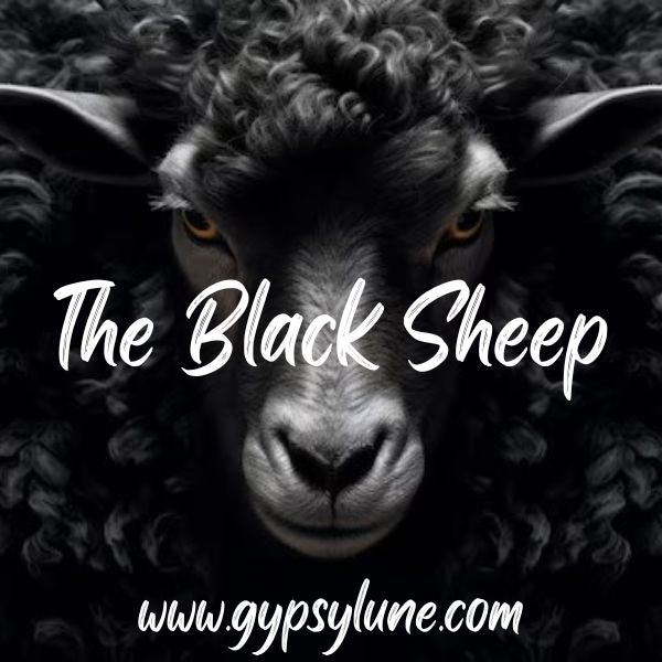 The Black Sheep Animal Spirit Guide