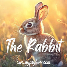 Load image into Gallery viewer, The Rabbit Animal Spirit Guide