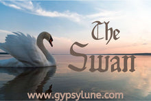 Load image into Gallery viewer, The Swan