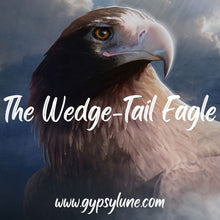 Load image into Gallery viewer, The Wedge-Tail Eagle Animal Spirit Guide