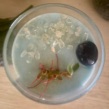 Load image into Gallery viewer, The Wedge-Tail Eagle Animal Spirit Guide